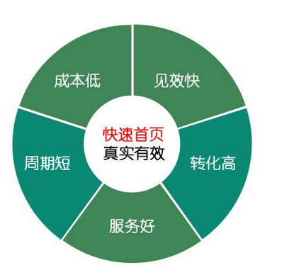 新网站怎样做SEO快速排名